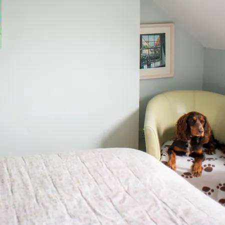 The Mount 폴틴스케일