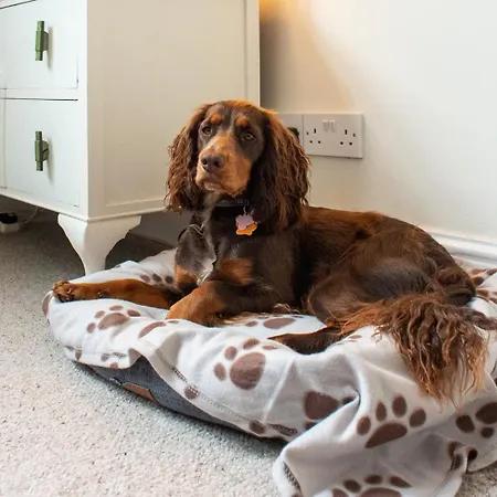 The Mount فندق مبيت وإفطار بورتنسكيل