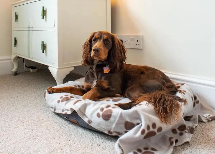 The Mount Bed & Breakfast Portinscale