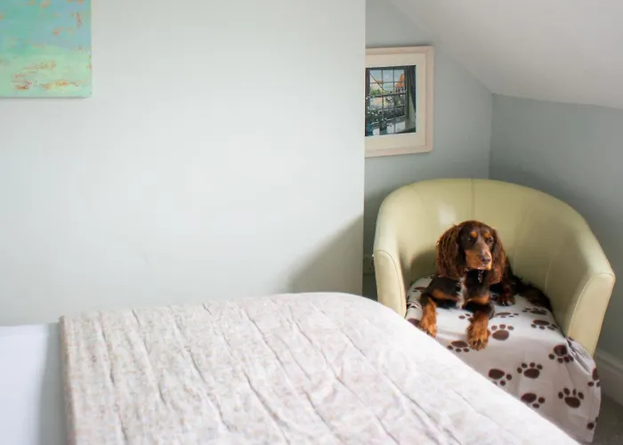 The Mount Портинскейл