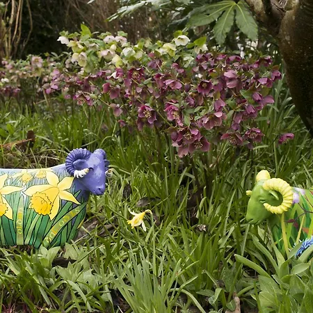 Bed & Breakfast The Mount Portinscale