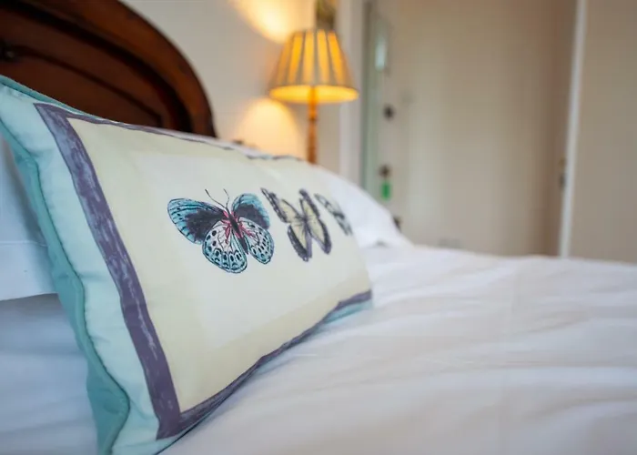 فندق مبيت وإفطار The Mount 4*